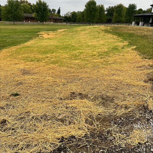 Dry grass and straw on a large field with buildings and trees in background