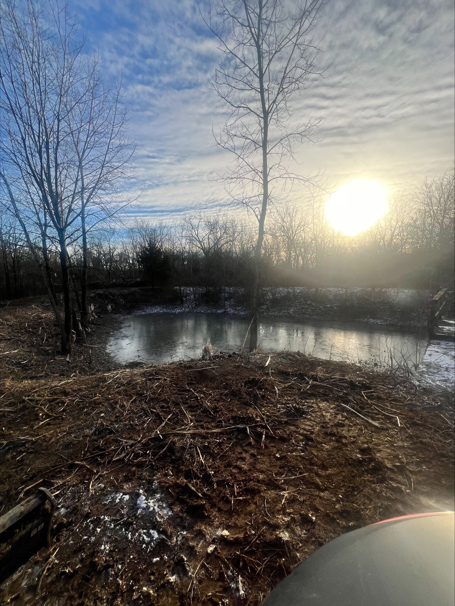 Winter pond with bare trees and bright sun reflecting on frozen water